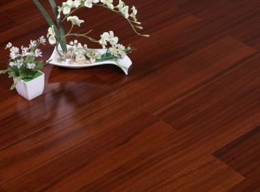 圓盤(pán)豆 柚木色