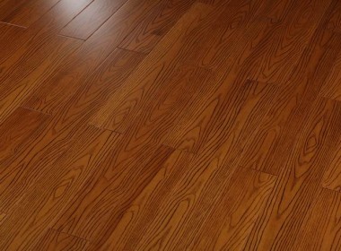 番龍眼 春華秋實(shí)