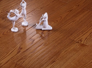 紅橡 夢(mèng)幻大陸