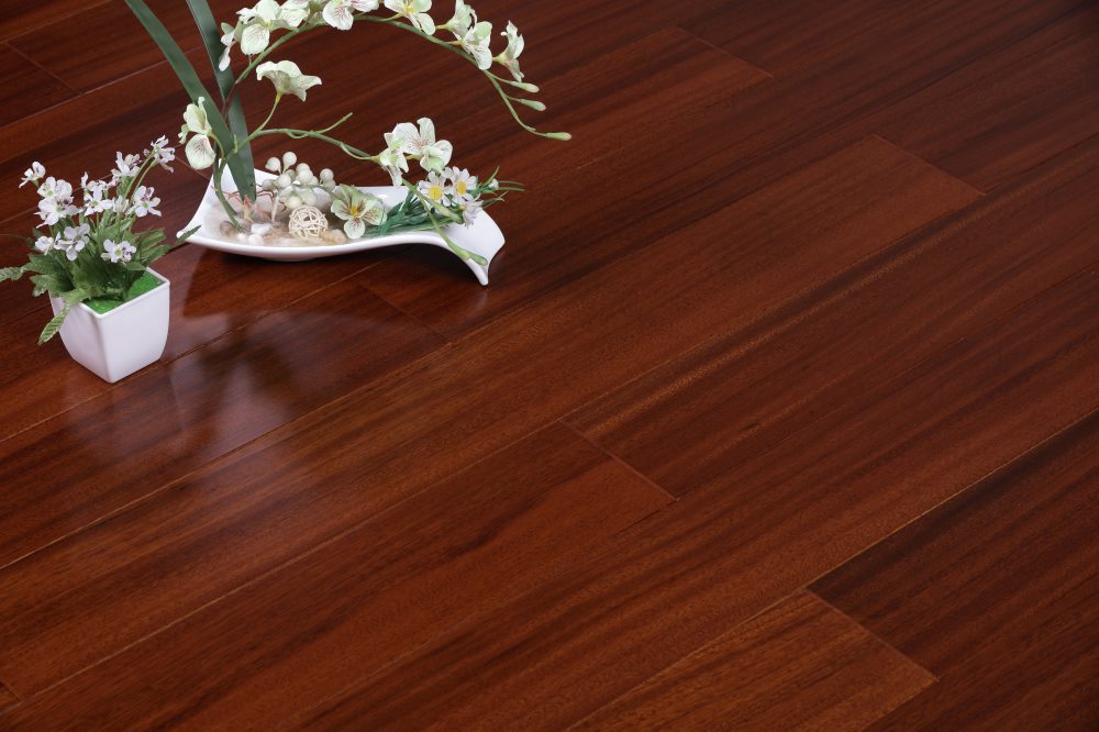 圓盤(pán)豆 柚木色